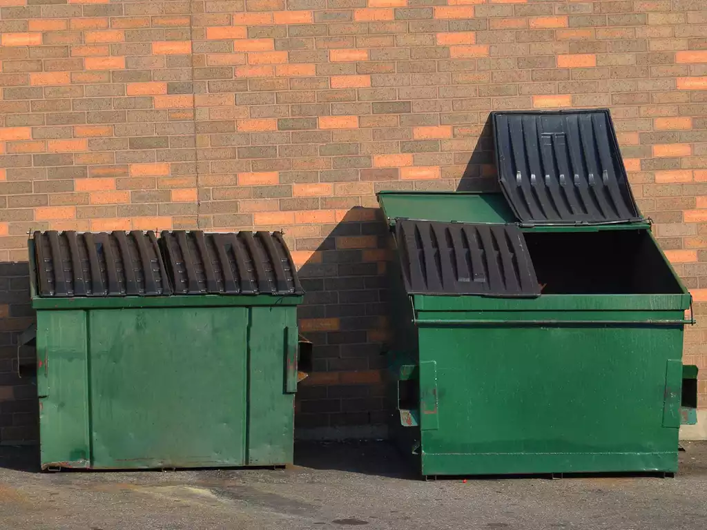 What is the Purpose of a Green Dumpsters